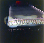 Women Ice Skating in a Row, Tampa, Florida, B by George Skip Gandy IV