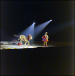 Ice Skaters in a Dog Costume and Woman Performing, Tampa, Florida by George Skip Gandy IV