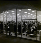 People Sitting and Standing in Convention Hall, Tampa, Florida, B by George Skip Gandy IV