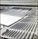 Empty Stadium Seating and Performing Area in the Curtis Hixon Hall, Tampa, Florida, B by George Skip Gandy IV