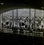 People Seen Dancing Through a Window, Tampa, Florida by George Skip Gandy IV