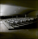 Empty Stadium Seating at Night, Tampa, Florida, A by George Skip Gandy IV