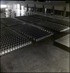 Empty Seats and Plants in Front of Stage, Tampa, Florida by George Skip Gandy IV