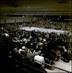 Crowd Watching Basketball Court, Tampa, Florida, A by George Skip Gandy IV