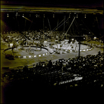 Crowd Watching Barnum and Bailey Circus Performers and Animals, Tampa, Florida, A by George Skip Gandy IV