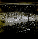 Crowd Watching Barnum and Bailey Circus Performers and Animals, Tampa, Florida, B by George Skip Gandy IV