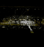 Crowd Watching Barnum and Bailey Circus Performers and Animals, Tampa, Florida by George Skip Gandy IV