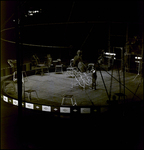 Barnum and Bailey Man Performing With Lion, Tampa, Florida by George Skip Gandy IV