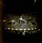 Lion Leaping Between Seats During Circus Performance, Tampa, Florida by George Skip Gandy IV