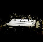 Men Boxing While Crowd Watches On, Tampa, Florida, A by George Skip Gandy IV