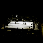 Men Boxing While Crowd Watches On, Tampa, Florida, B by George Skip Gandy IV