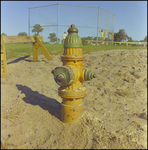 Fire Hydrant Near Baseball Field, Tampa, Florida, A by George Skip Gandy IV