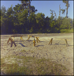 Fire Hydrant Surrounded by Water Department Barricades, Tampa, Florida, A by George Skip Gandy IV