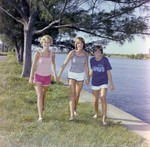 Three Women Walking Along Waterfront, Tampa, Florida, A by George Skip Gandy IV