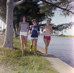 Three Women Walking Along Waterfront, Tampa, Florida, D by George Skip Gandy IV