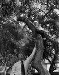 Joe Chillura Jr., Speaking with a Child, I by George Skip Gandy IV