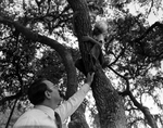 Joe Chillura Jr., Speaking with a Child, G by George Skip Gandy IV