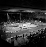 Trapeze Artists at Convention Center in Tampa, Florida, B by George Skip Gandy IV