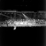 Circus Ponies at Convention Center in Tampa, Florida, C by George Skip Gandy IV