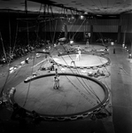 Gymnasts at Convention Center in Tampa, Florida, D by George Skip Gandy IV