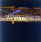 Circus Ponies at Convention Center in Tampa, Florida, Q by George Skip Gandy IV