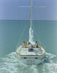 Panacea on the Water, C by George Skip Gandy IV