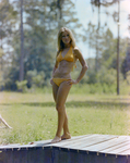 Janet Ducta in a Yellow Bikini, A by George Skip Gandy IV