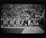 Tampa Bay Buccaneers Player and Cheerleaders by George Skip Gandy IV