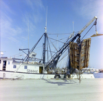 Shrimp Boat Toomer Boys for Fowler and White, C by George Skip Gandy IV