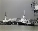 Horizon 2000 Tampa Port Ships, Tampa, G by George Skip Gandy IV