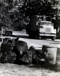 Horizon 2000 Tampa Trash, F by George Skip Gandy IV