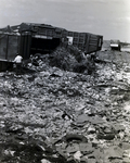 Horizon 2000 Tampa Trash, P by George Skip Gandy IV