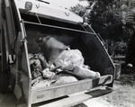 Horizon 2000 Tampa Trash, AP by George Skip Gandy IV