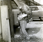 3-Year-Old Eric Gandy Uses Corded Phone, A by George Skip Gandy IV