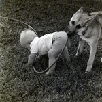 11-Month-Old Eric Gandy Plays with Dog, A by George Skip Gandy IV