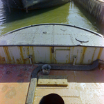 Holland and Knight, Tusker, F by George Skip Gandy IV