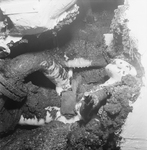 Damaged Piping and Corrosion in a Ship’s Engine Room by George Skip Gandy IV