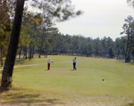 Golfers at Marion Oaks Country Club, A by George Skip Gandy IV