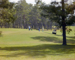 Golfers at Marion Oaks Country Club, B by George Skip Gandy IV