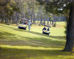 Golf Carts on Golf Course at Marion Oaks Country Club, D by George Skip Gandy IV