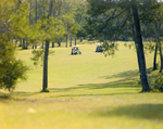 Golf Carts on Golf Course at Marion Oaks Country Club, E by George Skip Gandy IV