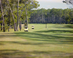 Golf Carts on Golf Course at Marion Oaks Country Club, F by George Skip Gandy IV