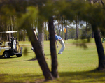 Men Playing Golf at Marion Oaks Country Club, D by George Skip Gandy IV