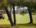 Men Playing Golf at Marion Oaks Country Club, E by George Skip Gandy IV