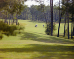Men Playing Golf at Marion Oaks Country Club, G by George Skip Gandy IV