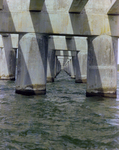 Misener Marine Construction Builds Belize City Bridge, AD by George Skip Gandy IV