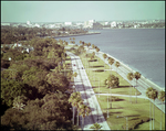 Bayshore Boulevard, Tampa, Florida by George Skip Gandy IV