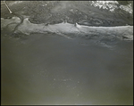 Aerial View of Cockroach Channel and Snake Key, Florida by Skip Gandy