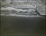 Aerial View of Snell Isle Harbor and Coastal Wetlands, St. Petersburg, Florida, B by Skip Gandy