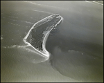 Aerial View of Egmont Key National Wildlife Refuge, Florida by Skip Gandy